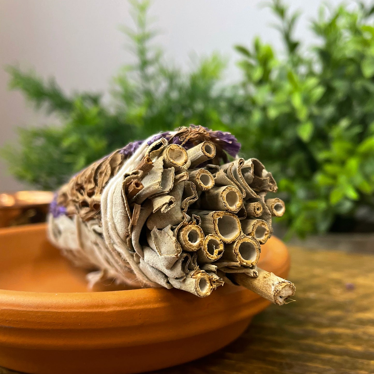 Salvia Blanca con Flores